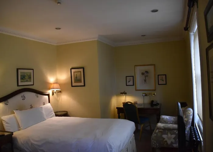 The Cranley Hotel
